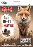 Age 10-11 maths