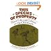 This Species of Property: Slave Life and Culture in the Old South (Galaxy Books)