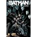 Batman, Tome 2 : La nuit des hiboux