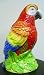 Kitchen & Housewares : Parrot Macaw Kitchen Cookie Jar Tropical Theme