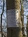 Fly-Fishing Sign Posted on a Tree Photographic Poster Print by Todd Gipstein, 12x16