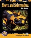 Newts and Salamanders: A Complete Guide to Caudata (Complete Herp Care)