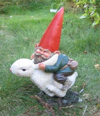 Woodland Garden Gnome - Gnome Rider