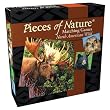 North American Wild Matching Game