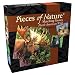 North American Wild Matching Game