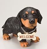 ラブリーミックスドック　チワックス