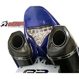 04-06 Yamaha R1 DMP Integrated Taillight by DMP