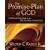The Promise-Plan of God: A Biblical Theology of the Old and New Testaments