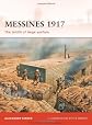 Messines 1917: The zenith of siege warfare (Campaign)