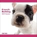 French Bulldog The Dog 2009 Wall Calendar