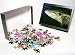 Photo Jigsaw Puzzle of Snakehead Fish from Ardea Wildlife Pets