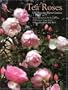 Tea Roses: Old Roses for Warm Gardens