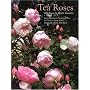 Tea Roses: Old Roses for Warm Gardens