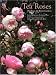 Tea Roses: Old Roses for Warm Gardens