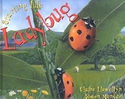 Starting Life: Ladybug (Starting Life)