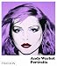 Andy Warhol Portraits