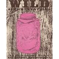 Wild Fermentation: A Do-It-Yourself Guide to Cultural Manipulation