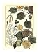 Arts And Crafts Hazelnut by M. P. Verneuil 18.00X24.00. Art Poster Print