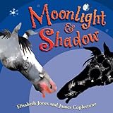 Moonlight & shadow