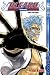  : Bleach 24: Immanent God Blues - Allgegenw&auml;rtiger G&ouml;tter-Blues