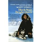 Black Star, Bright Dawn book cover
