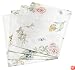 Lenox Butterfly Meadow Set of 4 Placemats