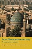 From Mesopotamia to Iraq : a concise history