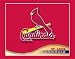 Turner MLB St Louis Cardinals Boxed Note Cards (8590126)