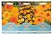 Mr Fothergill'S Seeds Calendula Pot Marigold Collection