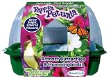DuneCraft Sprout 'n Grow Greenhouses - Petunias