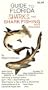 Guide to Florida Sharks and Shark Fishing