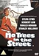 No Trees in the Street [DVD]
