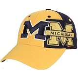Men`s Michigan Wolverines Alternate Logos Flex-Fit Cap