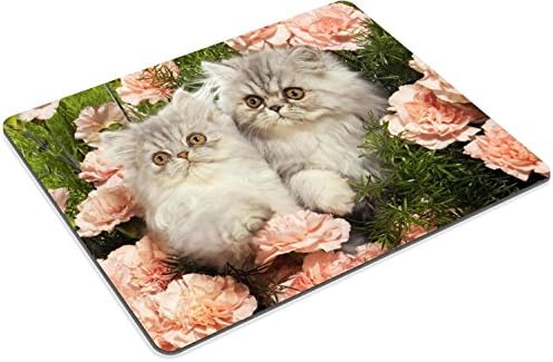 Persian Kittens with Pink Roses cats animal cute fluffy Mouse Pads Customized Made to Order Support Ready 9 7/8 Inch (250mm) X 7 7/8 Inch (200mm) X 1/16 Inch (2mm) High Quality Eco Friendly Cloth with Neoprene Rubber Liil Mouse Pad Desktop Mousepad Laptop Mousepads Comfortable Computer Mouse Mat Cute Gaming Mouse_pad