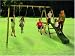 Toys : Baboon Hardwood Garden Multi Play Swing Set