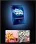 The Future of Graffiti DVD Painting Techniques (Eaz, Ces, Cope, Zephyr, T-Kid)