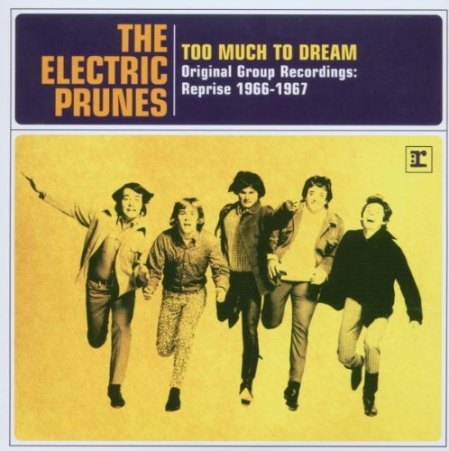 ELECTRIC PRUNES - Too Much to Dream: The Original Group Recordings - Zortam Music