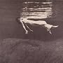 Undercurrent
