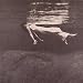 Bill Evans-Undercurrent