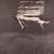 Undercurrent