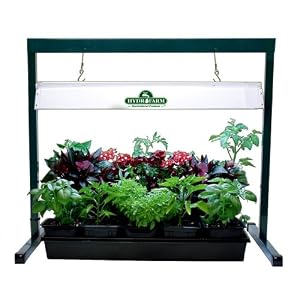 Hydrofarm Grow Lights