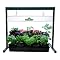 Start Plants from Seeds