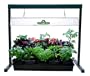 Hydrofarm JSV2 2-Foot Jump Start T5 Grow Light System