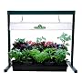 Hydrofarm JSV2 2-Foot Jump Start T5 Grow Light System