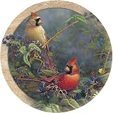 THIRSTYSTONE COASTERS GARDEN ACCENTS - CARDINAL PAIR