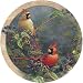 THIRSTYSTONE COASTERS GARDEN ACCENTS - CARDINAL PAIR
