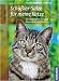 Schüßler-Salze für meine Katze: Die Wirkung der Heilsalze, Anwendung und Therapie at Amazon Books: 51zdojr8cUL._SL75_