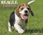 Beagle Puppies 2012 Calendar