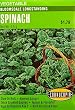 Spinach Bloomsdale Longstanding Seeds 200 Seeds