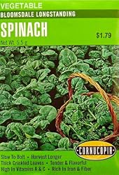 Spinach Bloomsdale Longstanding Seeds 200 Seeds